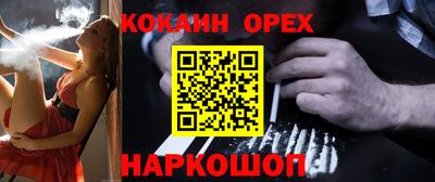 spice Дубна