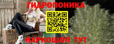 spice Дубна