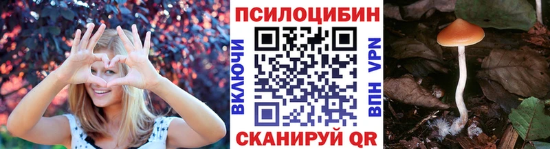 ссылка на мегу как войти Аксай Псилоцибиновые грибы мухоморы
