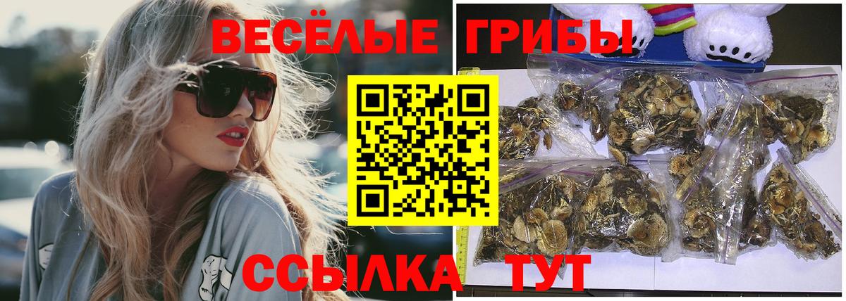 Псилоцибиновые грибы ЛСД Аксай